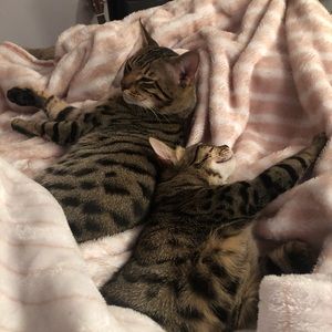 Meet your Posher, Isabelle